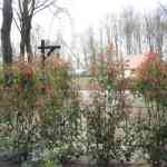 img-0940.jpg