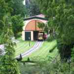 img-2954.jpg