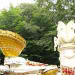 img-3107.jpg