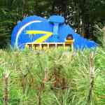 img-3109.jpg