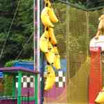 img-3121.jpg