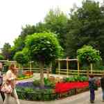 img-3123.jpg