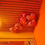 img-3239.jpg