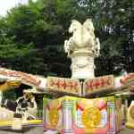 img-3250.jpg