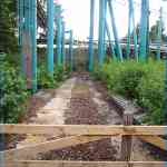 img-5724.jpg