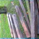 img-5750.jpg