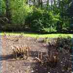 img-5766.jpg