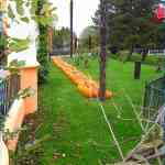 img-6009.jpg