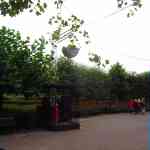 img-6013.jpg