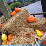 img-6019.jpg