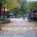 img-6021.jpg