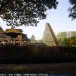 img-6458.jpg