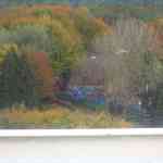 img-6495.jpg