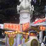 img-6497.jpg