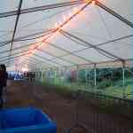 img-6505.jpg