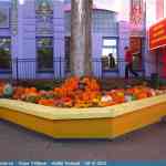 img-6992.jpg