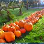 img-6994.jpg
