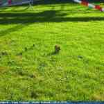 img-7021.jpg