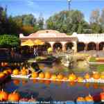 img-7042.jpg