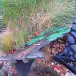 img-7050.jpg