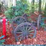 img-7055.jpg