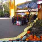 img-7071.jpg