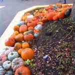 img-7073.jpg