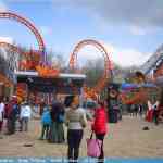 img-0977.jpg