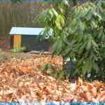 img-1009.jpg