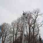img-1060.jpg