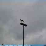 img-4270.jpg