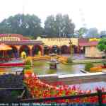 img-6137.jpg