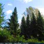 img-6544.jpg