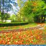 img-6560.jpg