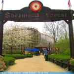 img-8768.jpg