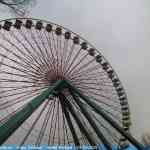 img-8781.jpg