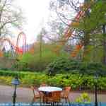 img-8786.jpg