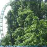 img-0830.jpg
