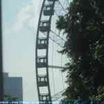 img-0831.jpg