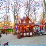 img-0294.jpg