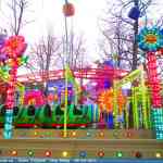 img-0329.jpg