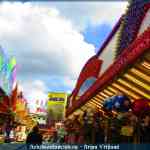 img-8323.jpg