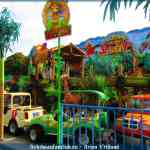 img-8327.jpg