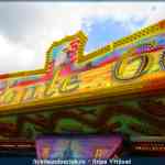 img-8343.jpg