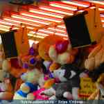 img-8361.jpg