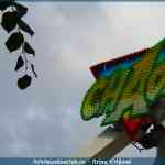 img-8372.jpg