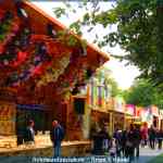 img-8374.jpg