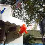 img-6743.jpg