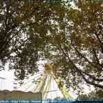 img-6744.jpg