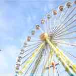 img-6779.jpg